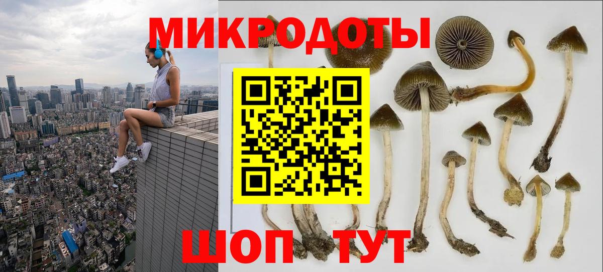 Галлюциногенные грибы Psilocybine cubensis  Вход с VPN  Псилоцибиновые грибы ЛСД  Элиста 