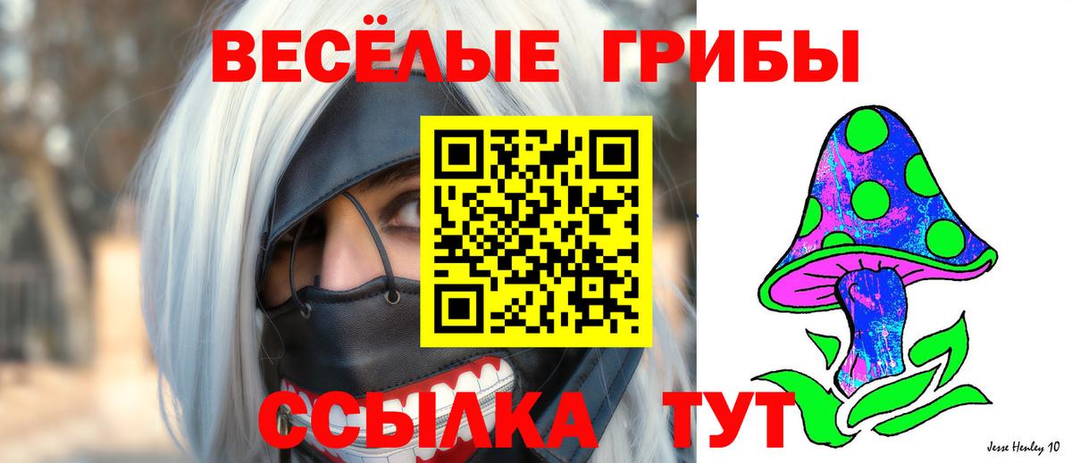 Галлюциногенные грибы GOLDEN TEACHER Элиста